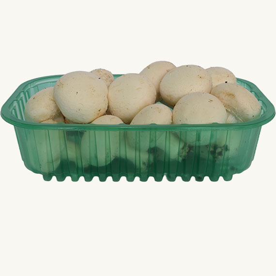 Champignon Vaschetta 500 Gr